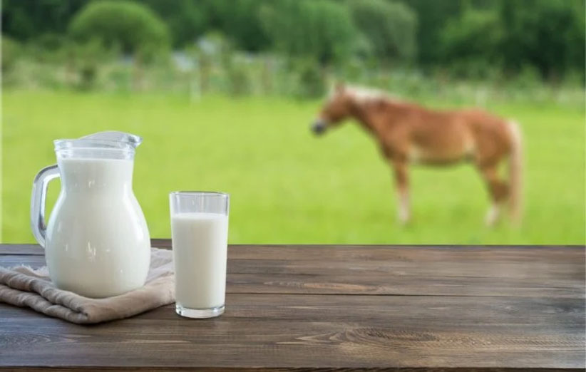 طریقه مصرف شیر الاغ